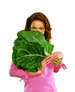 Aramark - Print Ad